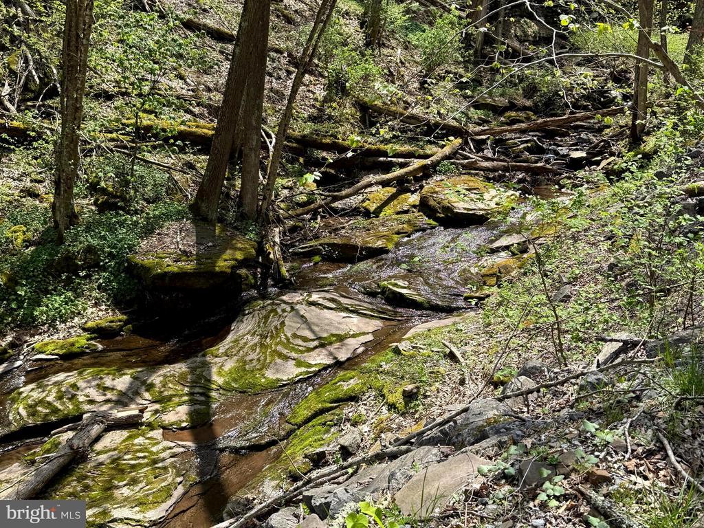 Land in SENECA ROCKS 4