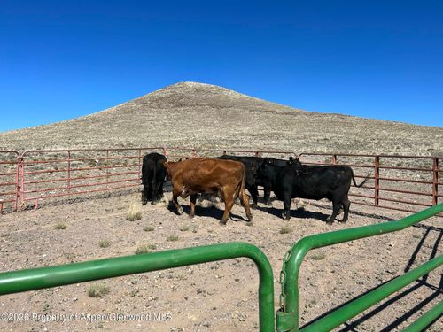 Tbd Costilla County Parcel #400022, Blanca, CO, 81123 | Card Image