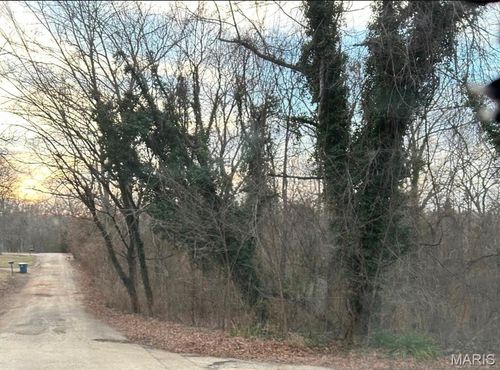 0 Pawnee Dr, Irondale, MO, 63648 | Card Image