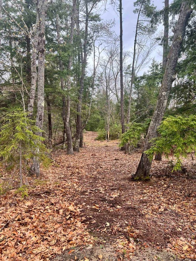 Lot 69 Glen Avenue, Home with 0 bedrooms, 0 bathrooms and null parking in Effingham NH | Image 14