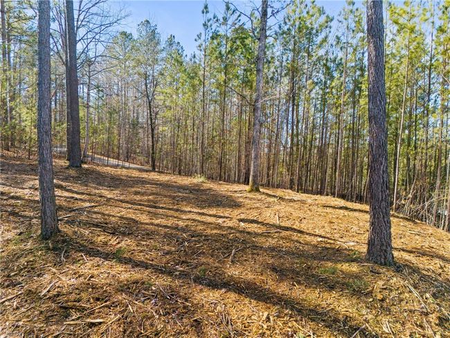 Gentle slope perfect for a walk out lower level | Image 4