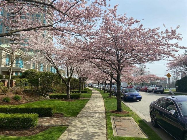 View of asphalt road featuring sidewalks | Image 27