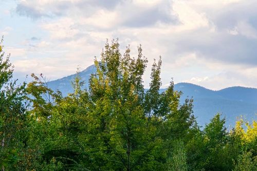 910 Page Hill Rd, Chocorua, NH, 03817 | Card Image