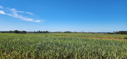 0 Glenmore Road, Scottsville, VA, 24590 | Card Image