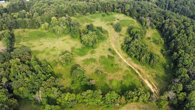 33.64 ac Davis Rd, Home with 0 bedrooms, 0 bathrooms and null parking in Livingston TN | Image 19