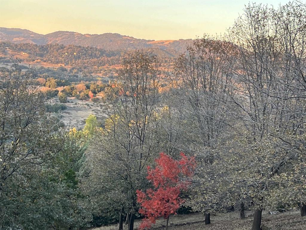 Land in Julian 4