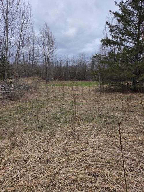 TBD Lampi Rd, Cohasset, MN, 55721 | Card Image
