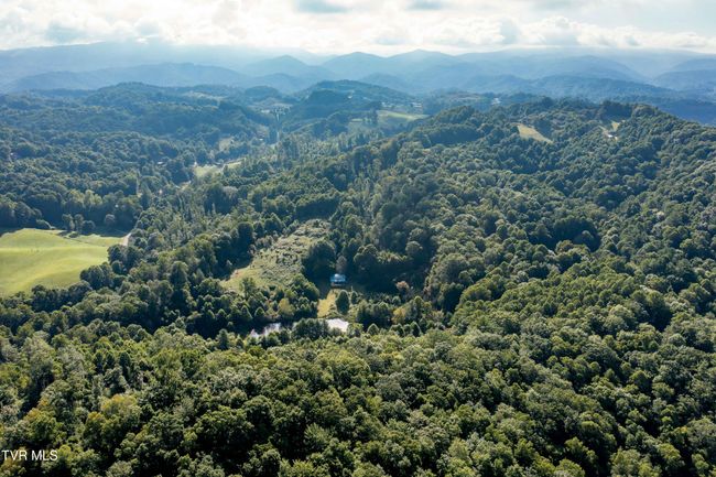 306 Bear Branch Rd, Home with 0 bedrooms, 0 bathrooms and null parking in Roan Mountain TN | Image 16
