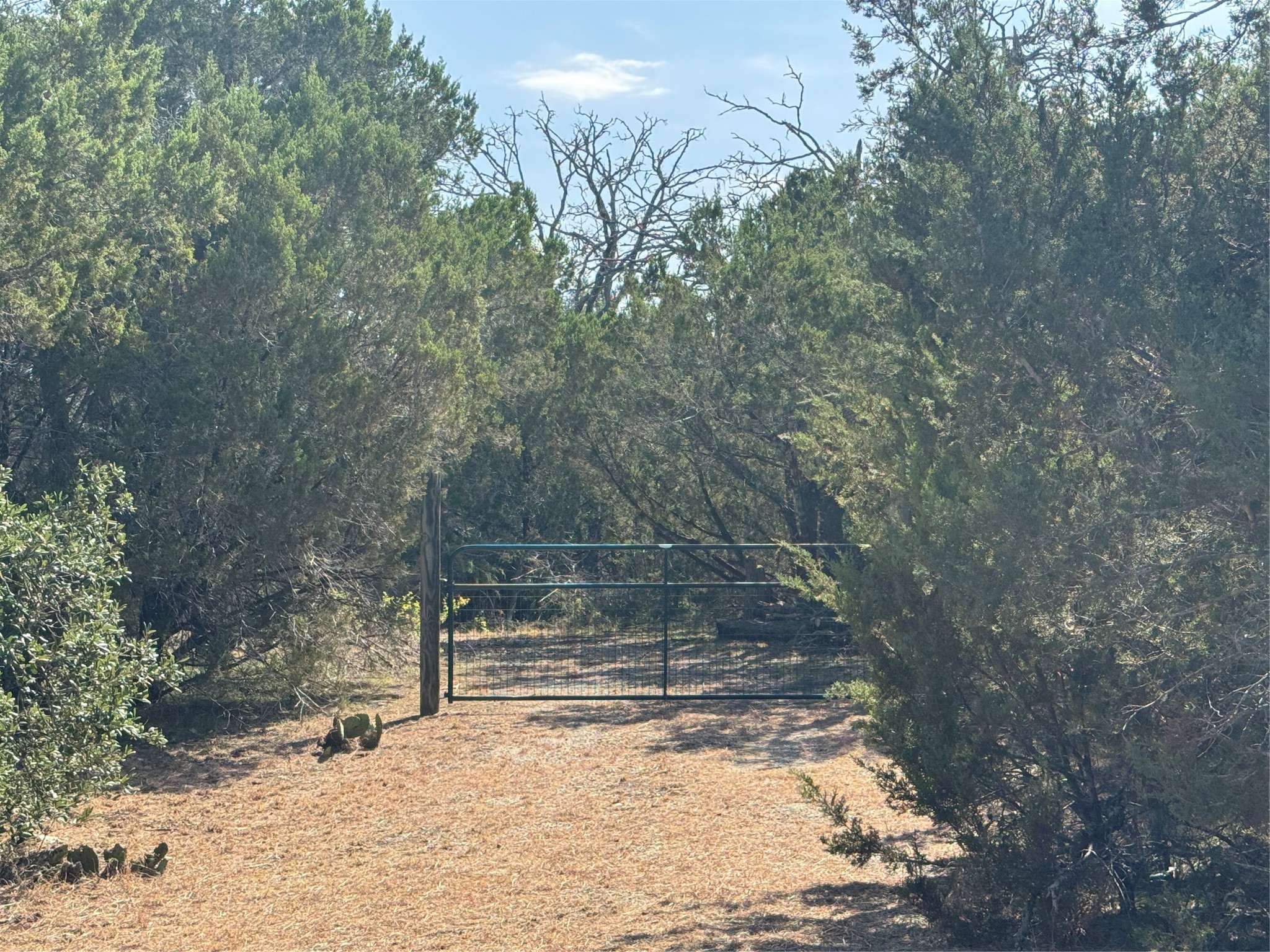 Land in Bertram 4