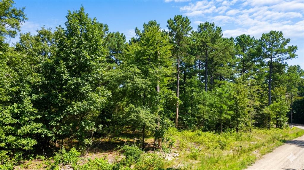 Land in Hochatown
