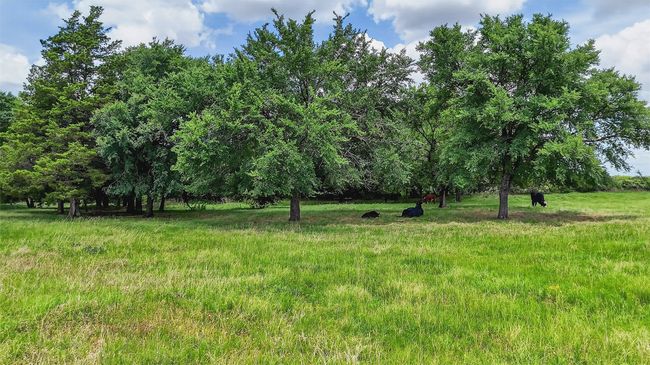 2869 Ranch Rd, House other with 3 bedrooms, 2 bathrooms and null parking in Whitesboro TX | Image 32