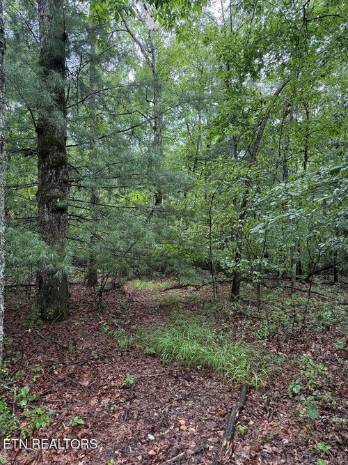 929 Kemah Ln, Crossville, TN, 38572-1009 | Card Image