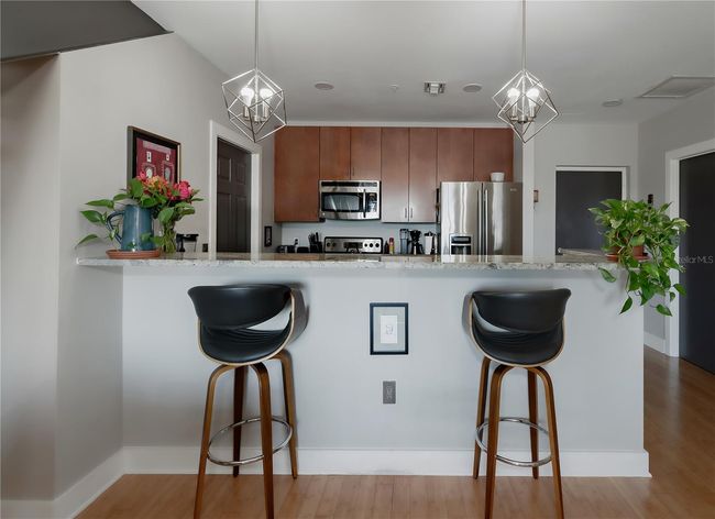 APT-426 - 1010 Central Ave, Condo with 2 bedrooms, 2 bathrooms and null parking in ST PETERSBURG FL | Image 4