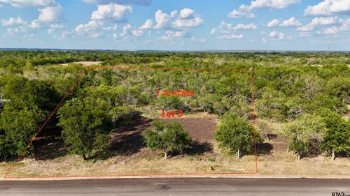 Lot 3 Tatum Rd, Martindale, TX, 78655 | Card Image