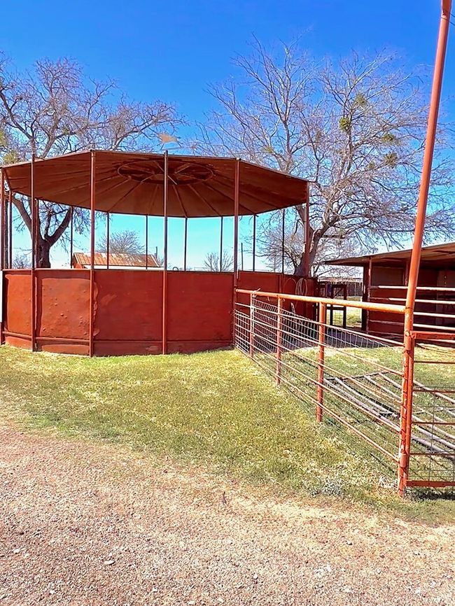 View of yard with an exterior structure and an outdoor structure | Image 8