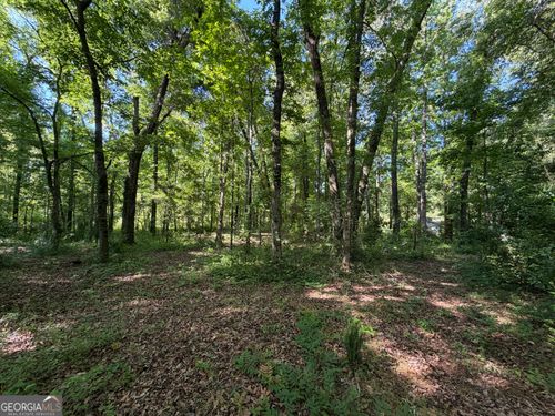 1.49 ACRES Ann Dr, Lizella, GA, 31052 | Card Image