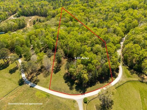LOT 3 Spring Camp Rd, Ellijay, GA, 30536-8556 | Card Image
