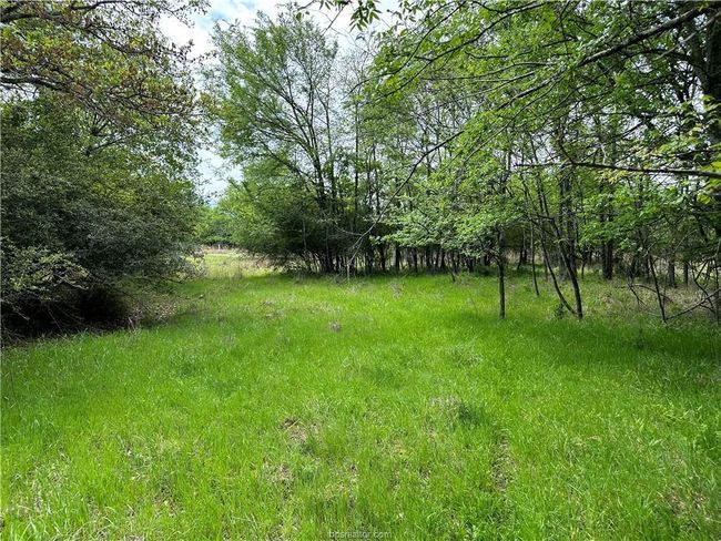 View of yard | Image 7