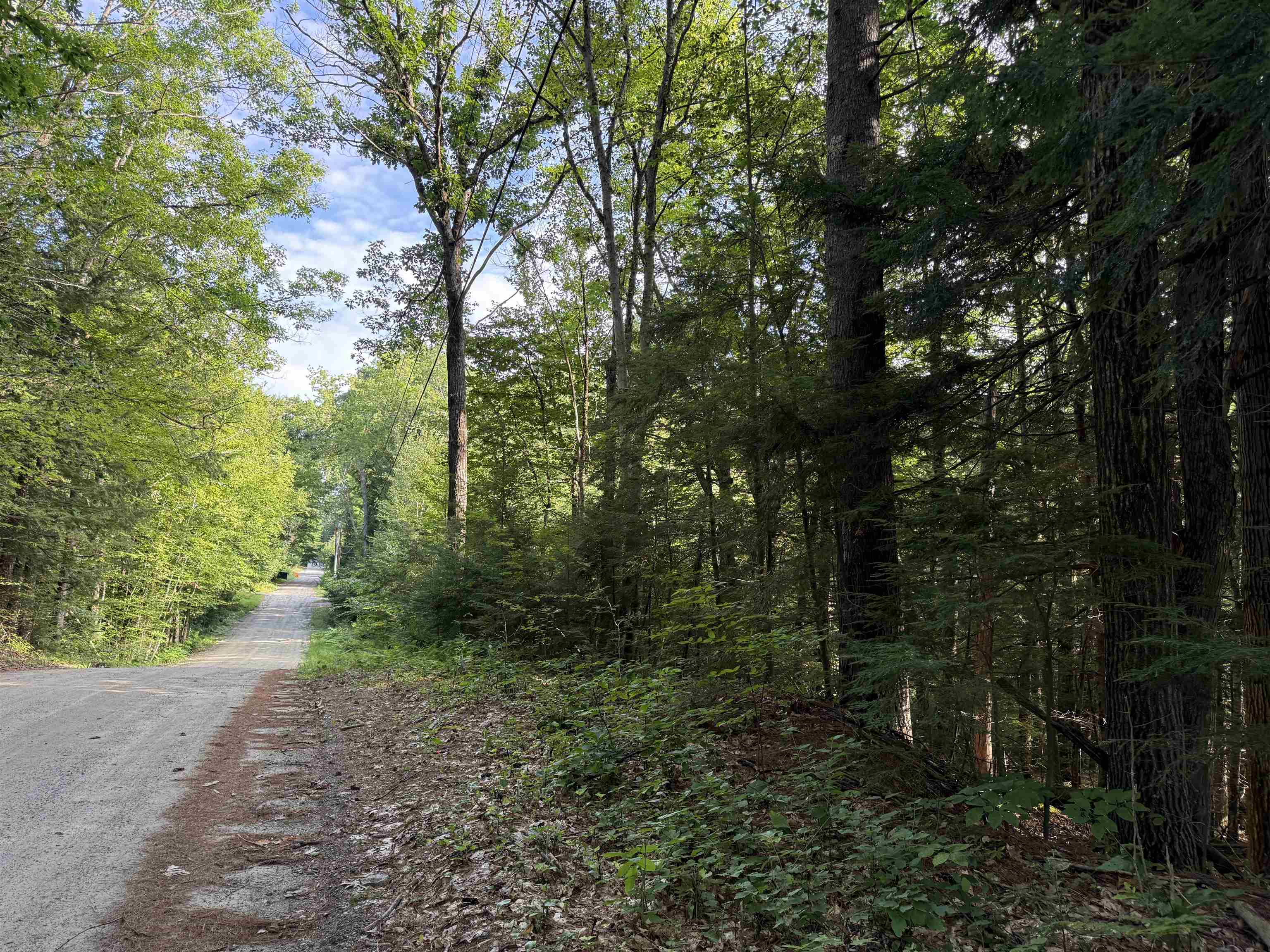 Land in Hillsborough 3