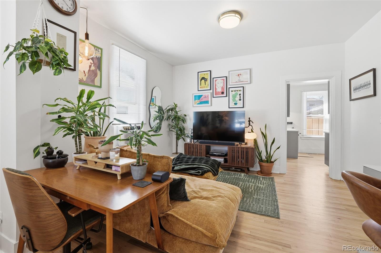 Residential in Denver 5