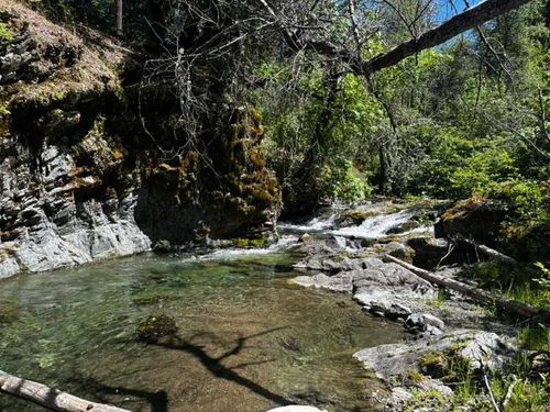 8980 Reading Creek Rd, Douglas City, CA, 96024 | Card Image
