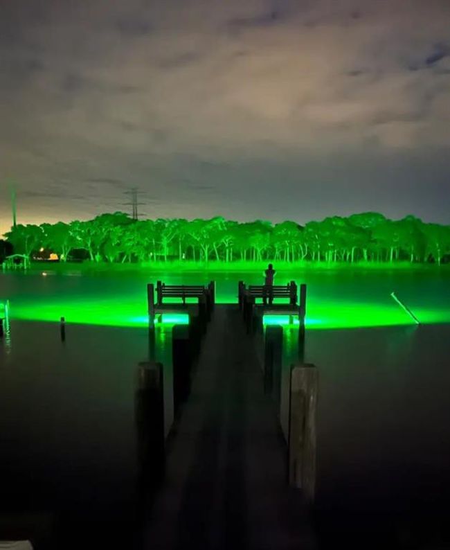 Green lights at night | Image 1