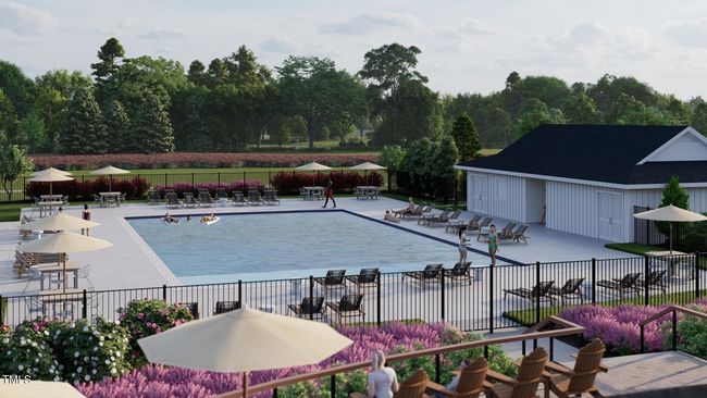 SUN_CarolinaSprings_Amenities_Pool 2 | Image 31