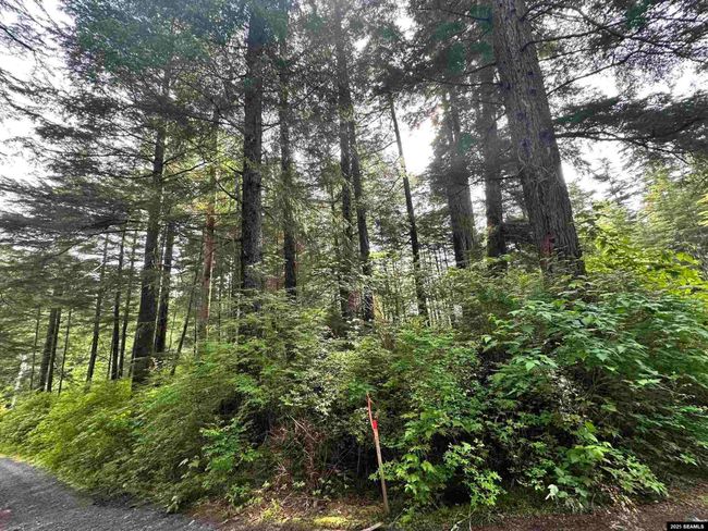 100 Yakobi Way, Home with 0 bedrooms, 0 bathrooms and null parking in Sitka AK | Image 9