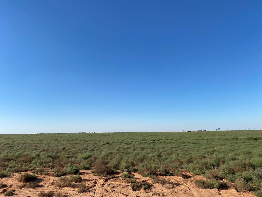 Land in Midland 5