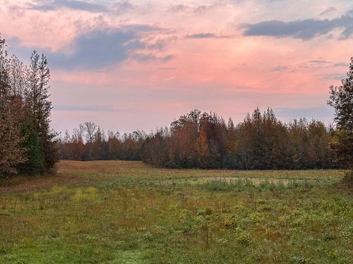 0 Hines Gin Rd, Selmer, TN, 38375 | Card Image