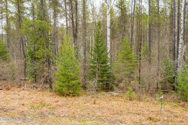 Nice landscape | Image 33