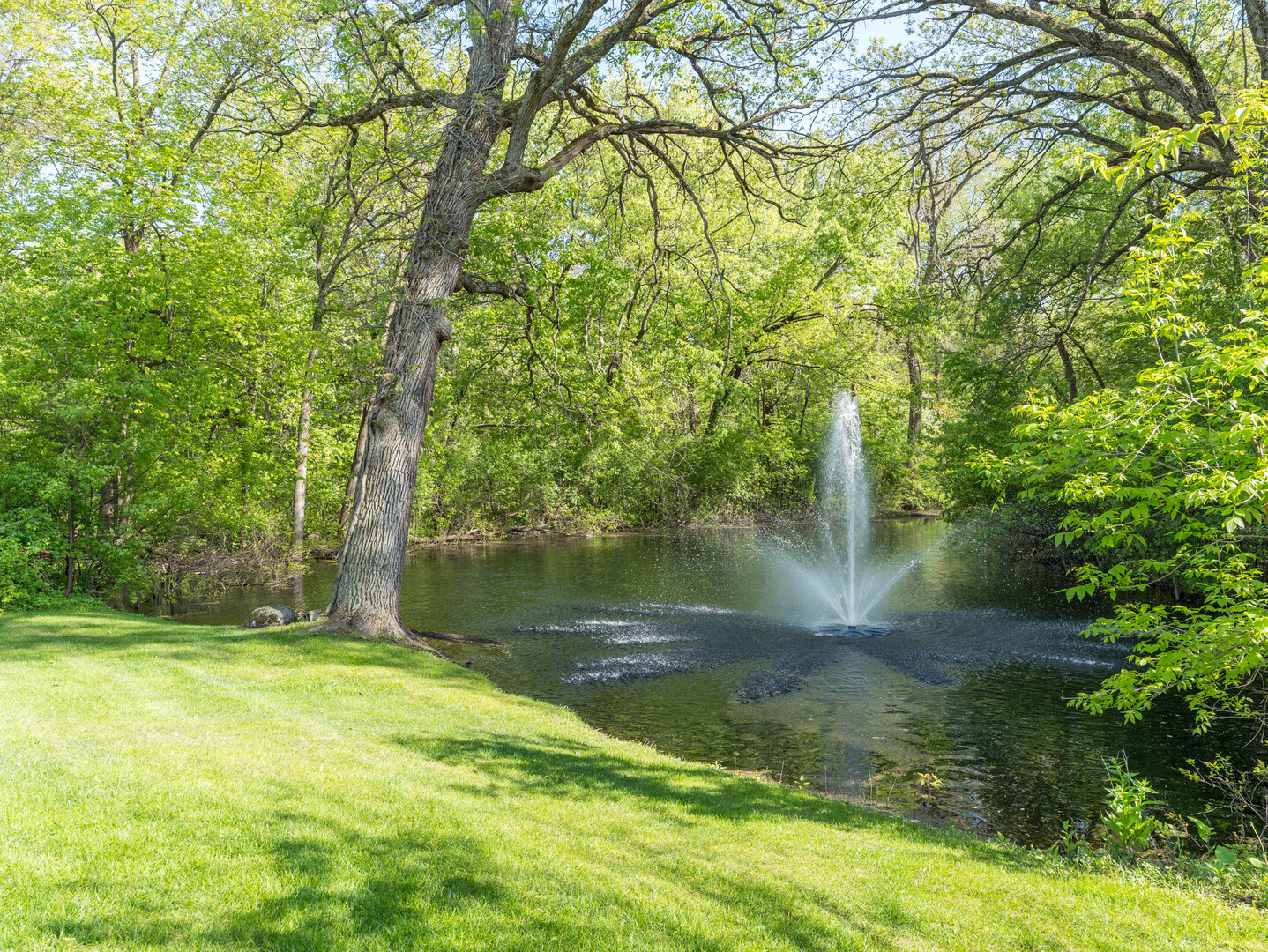 Residential in St. Charles 4