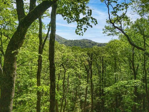 Lot 45 Amy Creek Cir, Ellijay, GA, 30540-0558 | Card Image