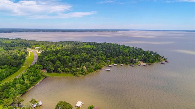 695 Lake Shore Dr, Home with 0 bedrooms, 0 bathrooms and null parking in Coldspring TX | Image 10