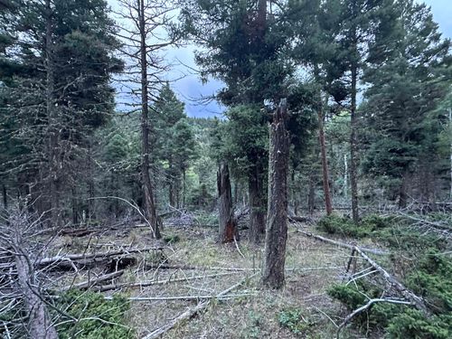 279 Vail Loop, Angel Fire, NM, 87710 | Card Image
