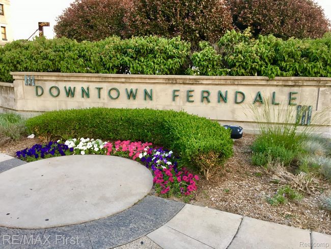 Welcome to Ferndale | Image 20