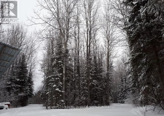561 Mcdonald Rd, Home with 0 bedrooms, 0 bathrooms and null parking in West Nipissing ON | Image 18