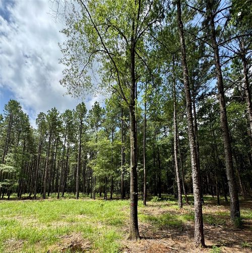 TBD 10 Cr 2626, Wells, TX, 75976 | Card Image