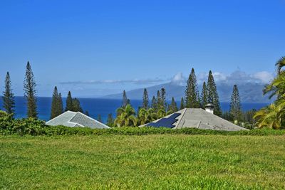 308 Cook Pine Dr, Home with 0 bedrooms, 0 bathrooms and null parking in Lahaina HI | Image 1