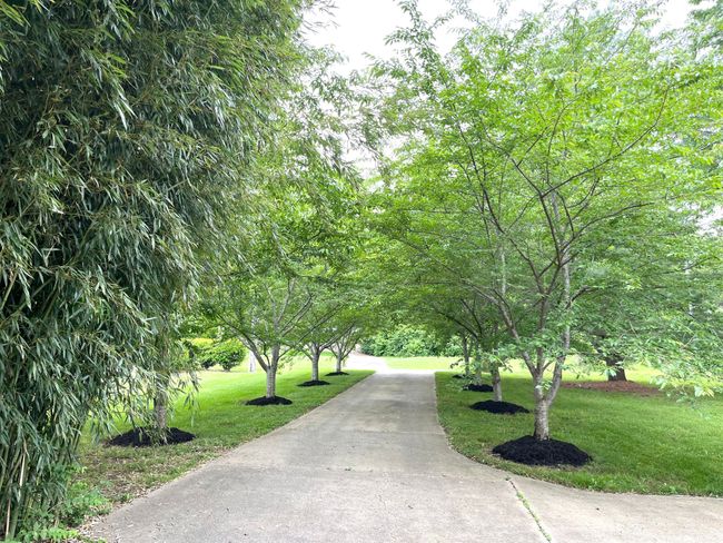 2214 Henpeck Ln, House other with 4 bedrooms, 3 bathrooms and 7 parking in Franklin TN | Image 43