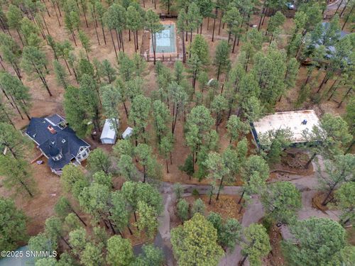 106 Jann Lane, Ruidoso, NM, 88345 | Card Image