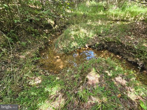 100 Ac W James Anderson Highway, GLADSTONE, VA, 24553 | Card Image