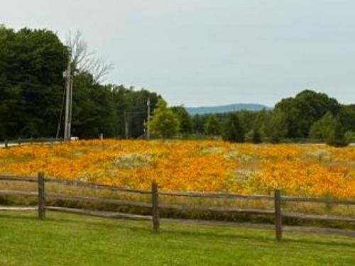 14A 16-4 Ashby Road, New Ipswich, NH, 03071-3506 | Card Image