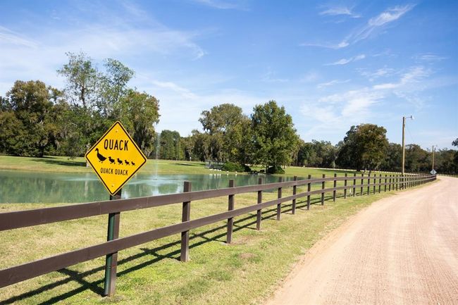 535 Hunter Dr, House other with 2 bedrooms, 2 bathrooms and 5 parking in Cleveland TX | Image 36