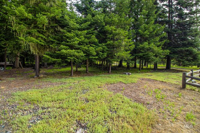 20888 Upper Fords Creek Rd, House other with 2 bedrooms, 2 bathrooms and 2 parking in Weippe ID | Image 7
