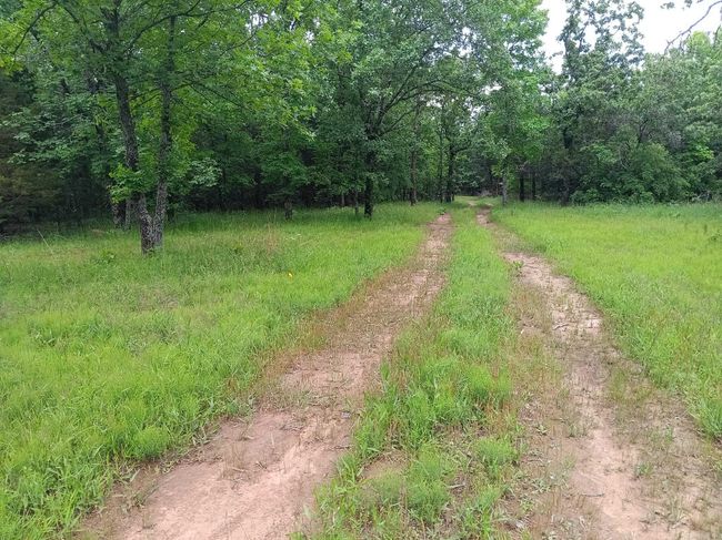 409 Russell Mountain Rd, Home with 0 bedrooms, 0 bathrooms and null parking in Bald Knob AR | Image 12