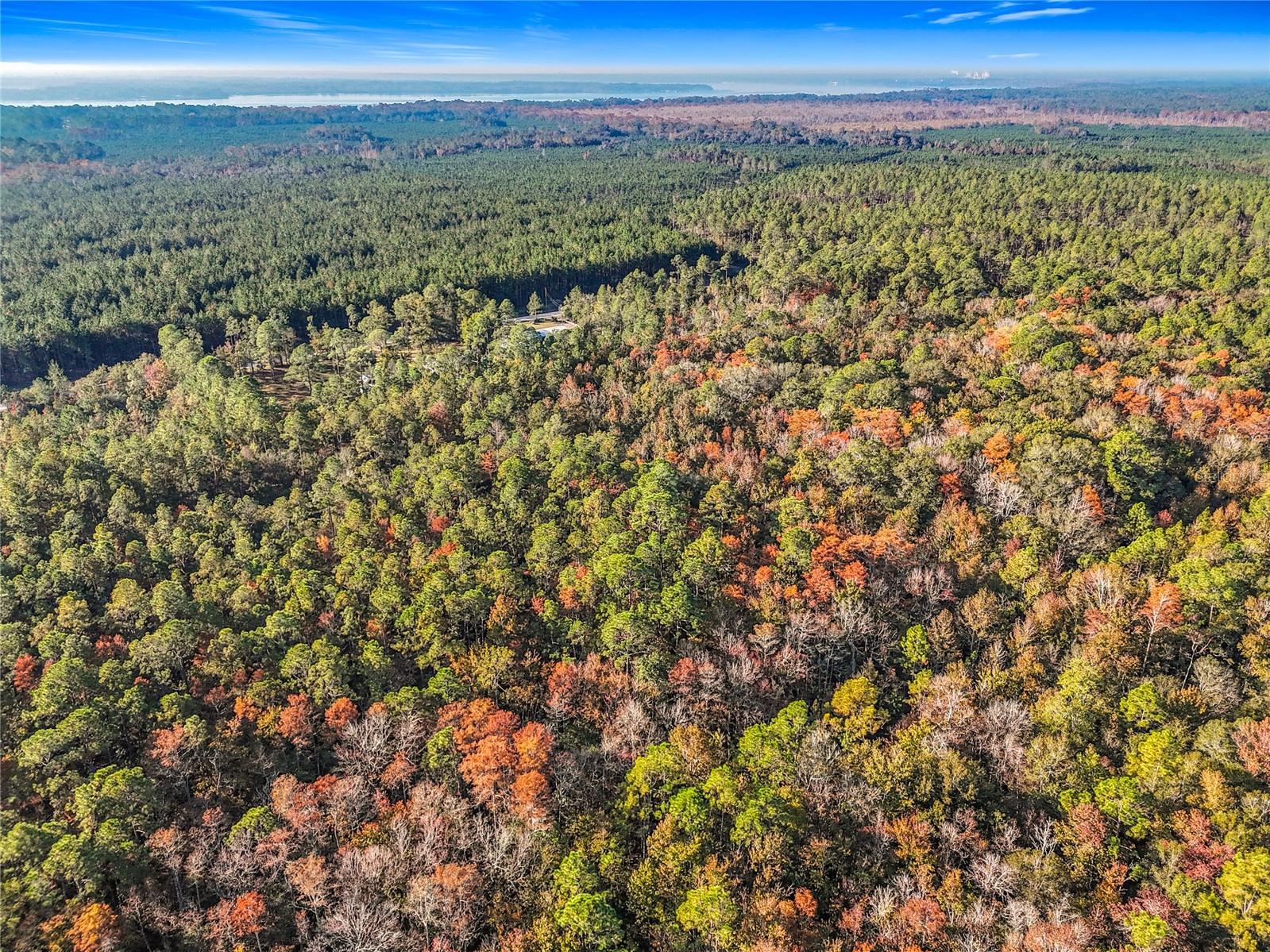 Land in PALATKA 5