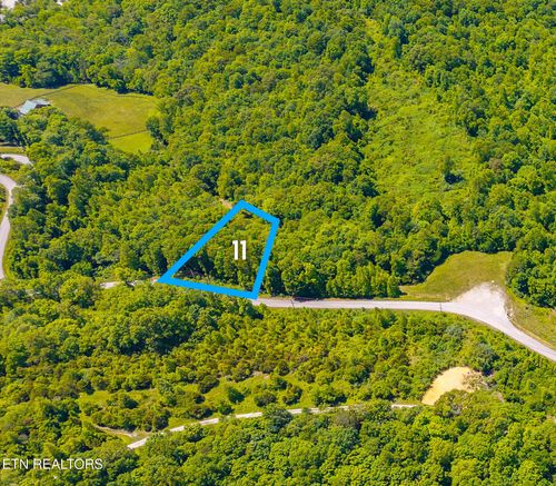 Lot 11 Saddle Ridge Dr, Speedwell, TN, 37870 | Card Image
