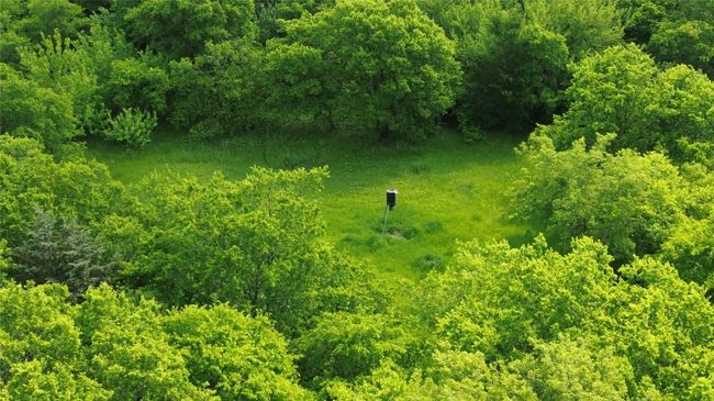 Birds eye view of property featuring a wooded view | Image 7