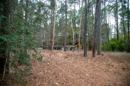 16438 Grand Flower Rd, Plantersville, TX, 77363-8240 | Card Image